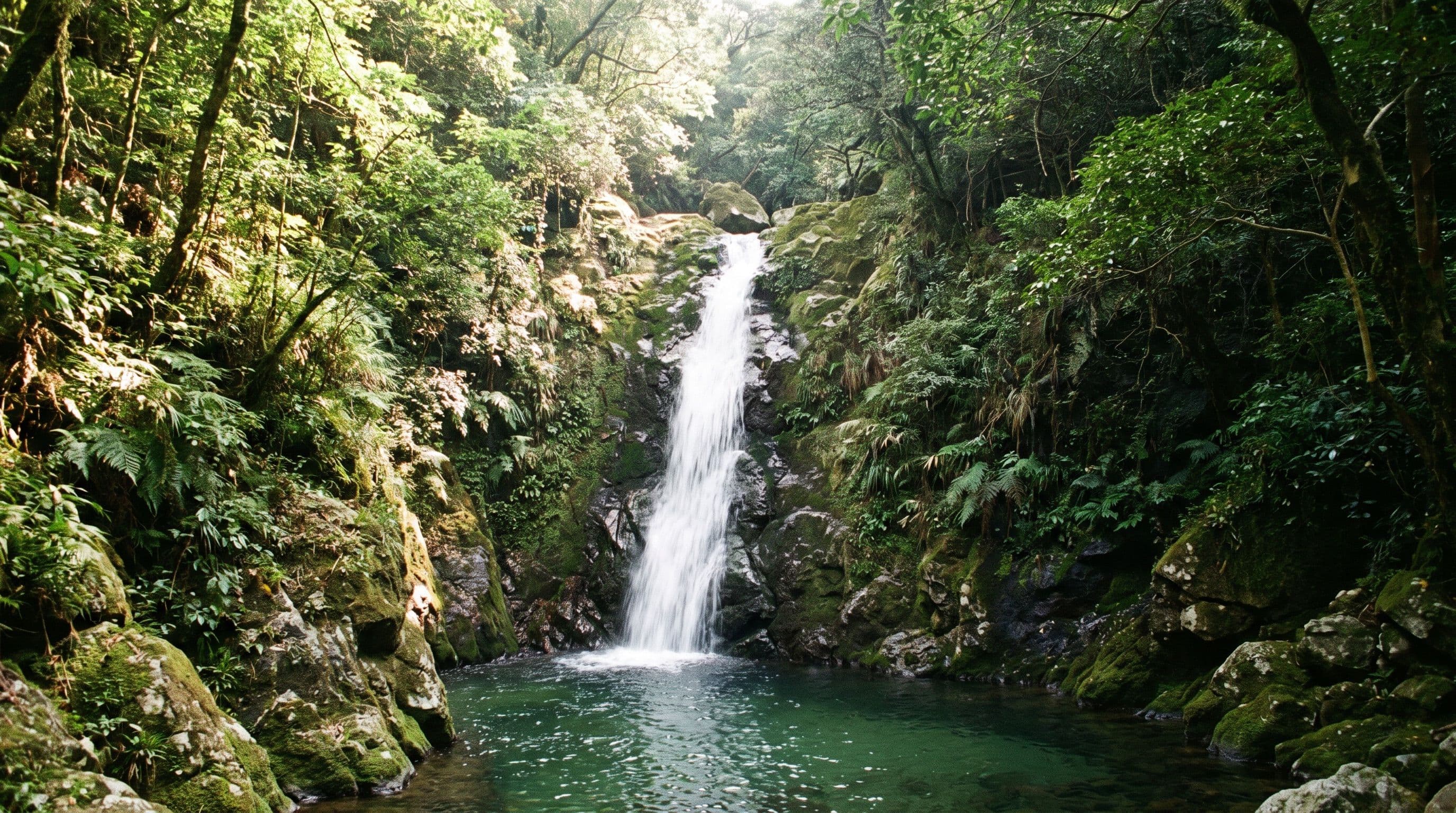 Hong Kong Waterfall Hike Guide: Ng Tung Chai, Bride's Pool & Three Easy Falls