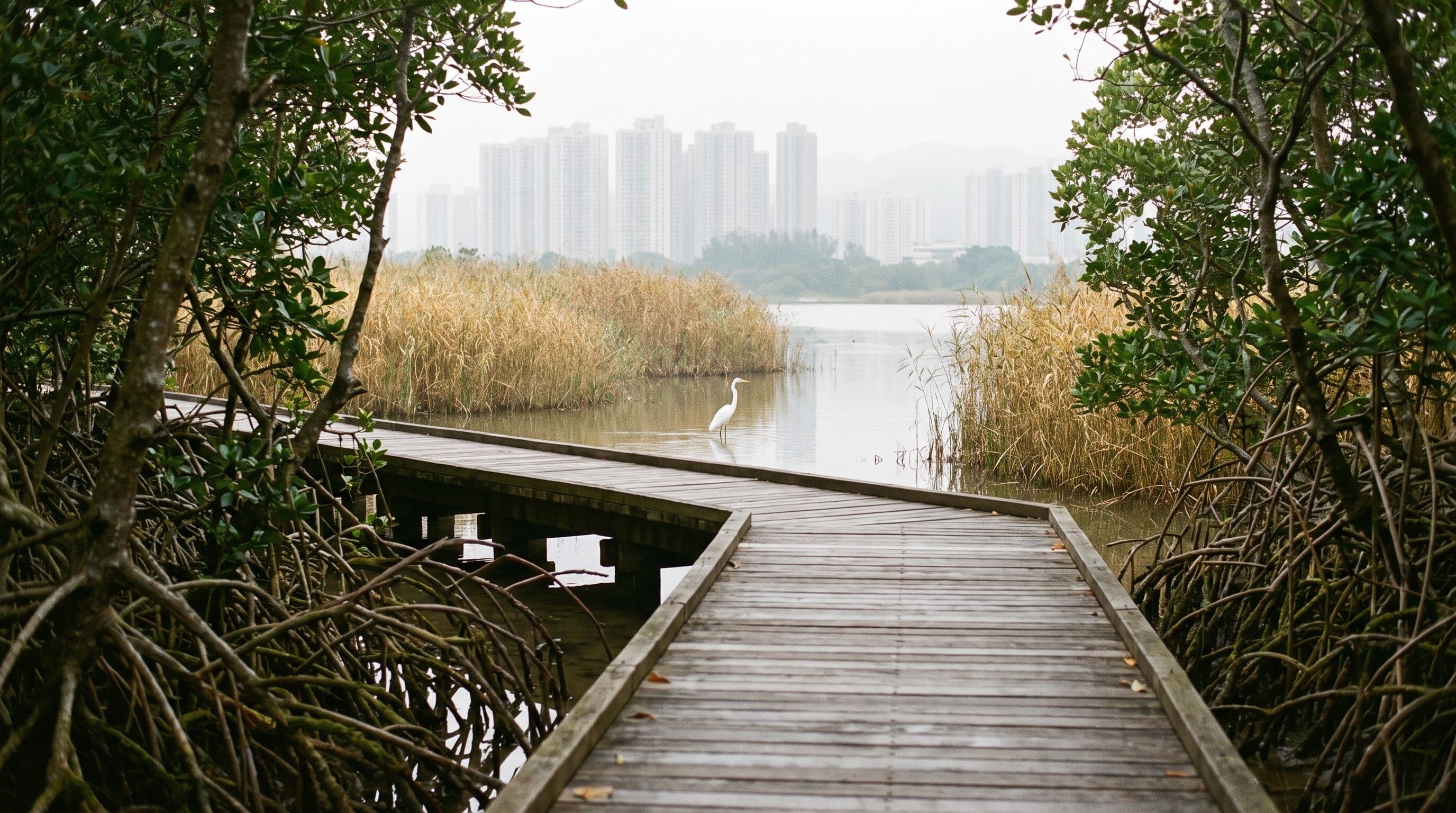 Is Hong Kong Wetland Park Worth It?